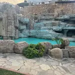Turky 阿拉尼亚